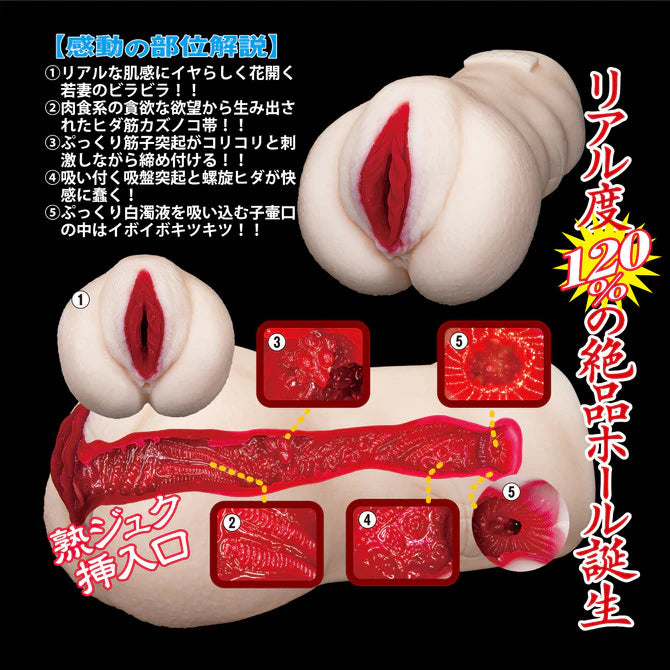 NPG Japan - Rara Anzai Pussy Onahole 800G